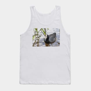 Hawaiian coot Tank Top